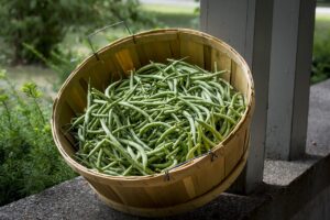 air fryer fresh beans